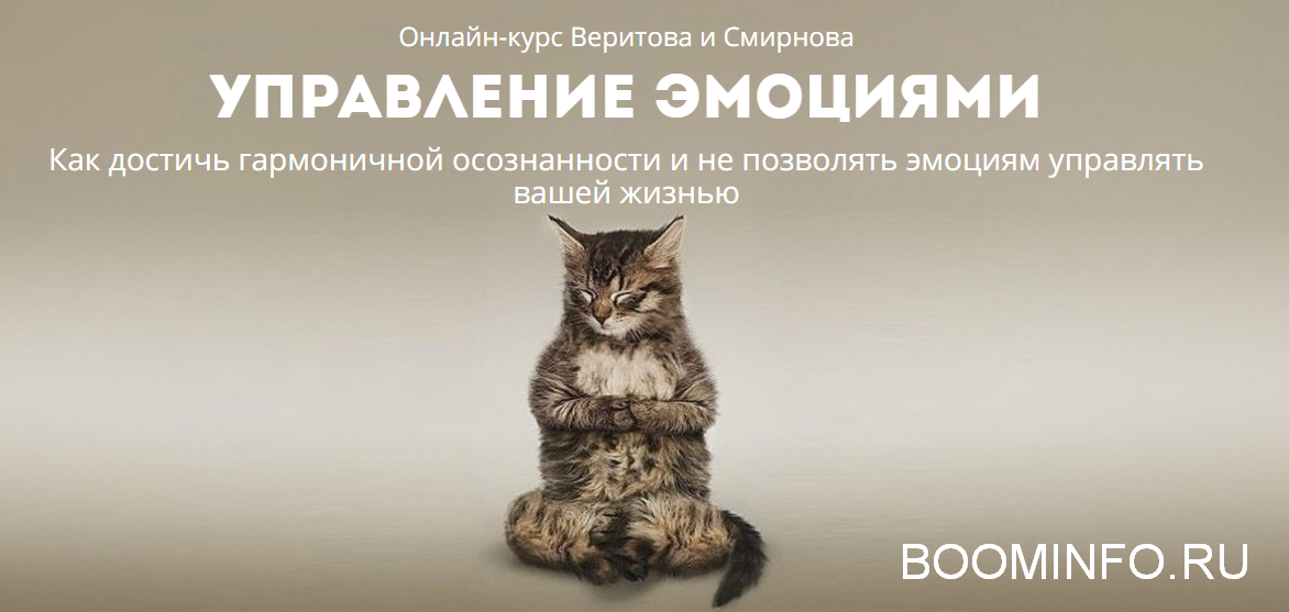 [Веритов, Смирнов] Управление эмоциями (2018)_0.png